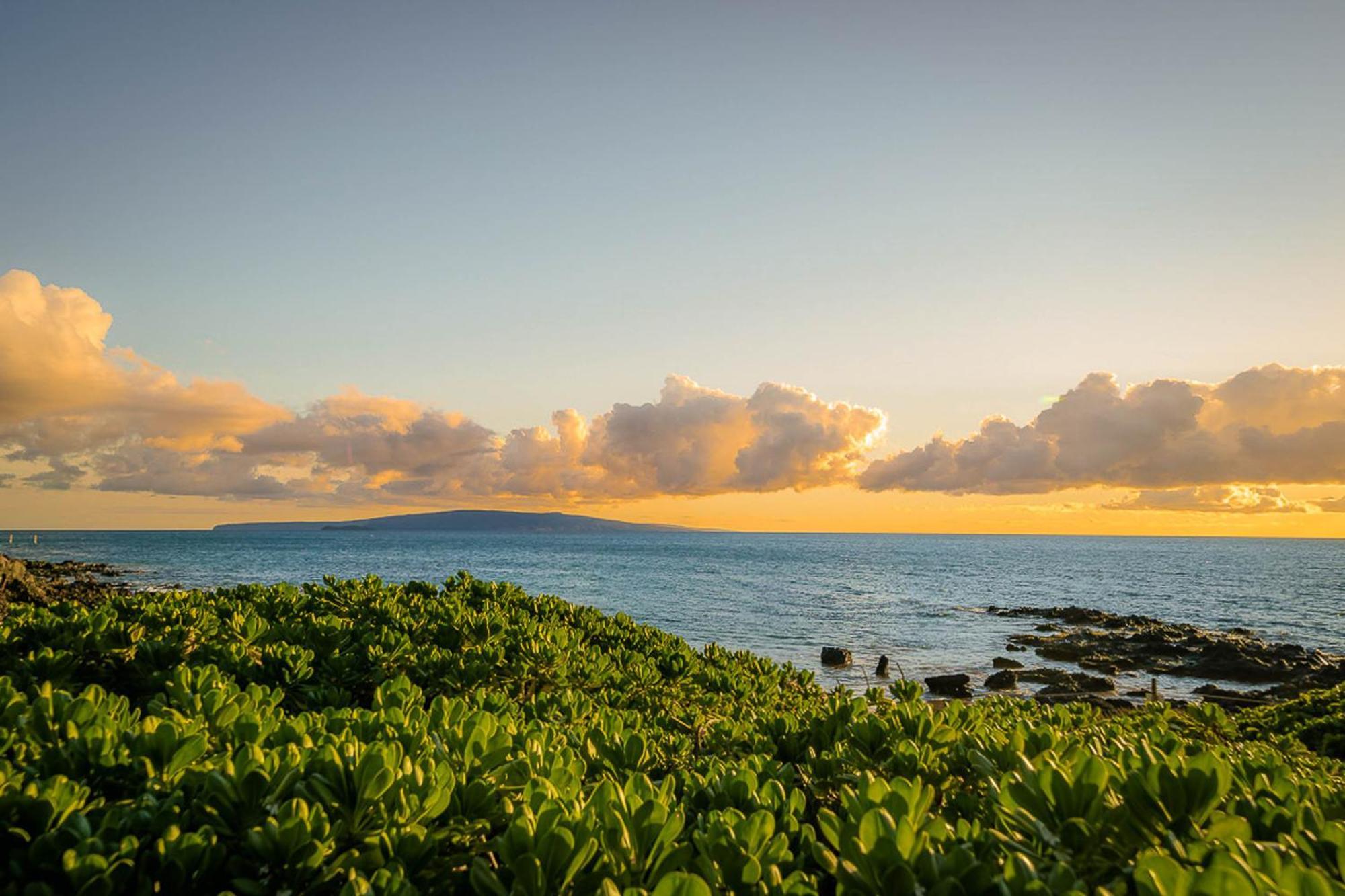 Appartamento Maui Banyan Q-109 Wailea  Esterno foto